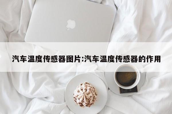 汽车温度传感器图片:汽车温度传感器的作用