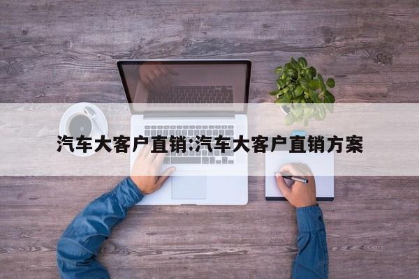 汽车大客户直销:汽车大客户直销方案